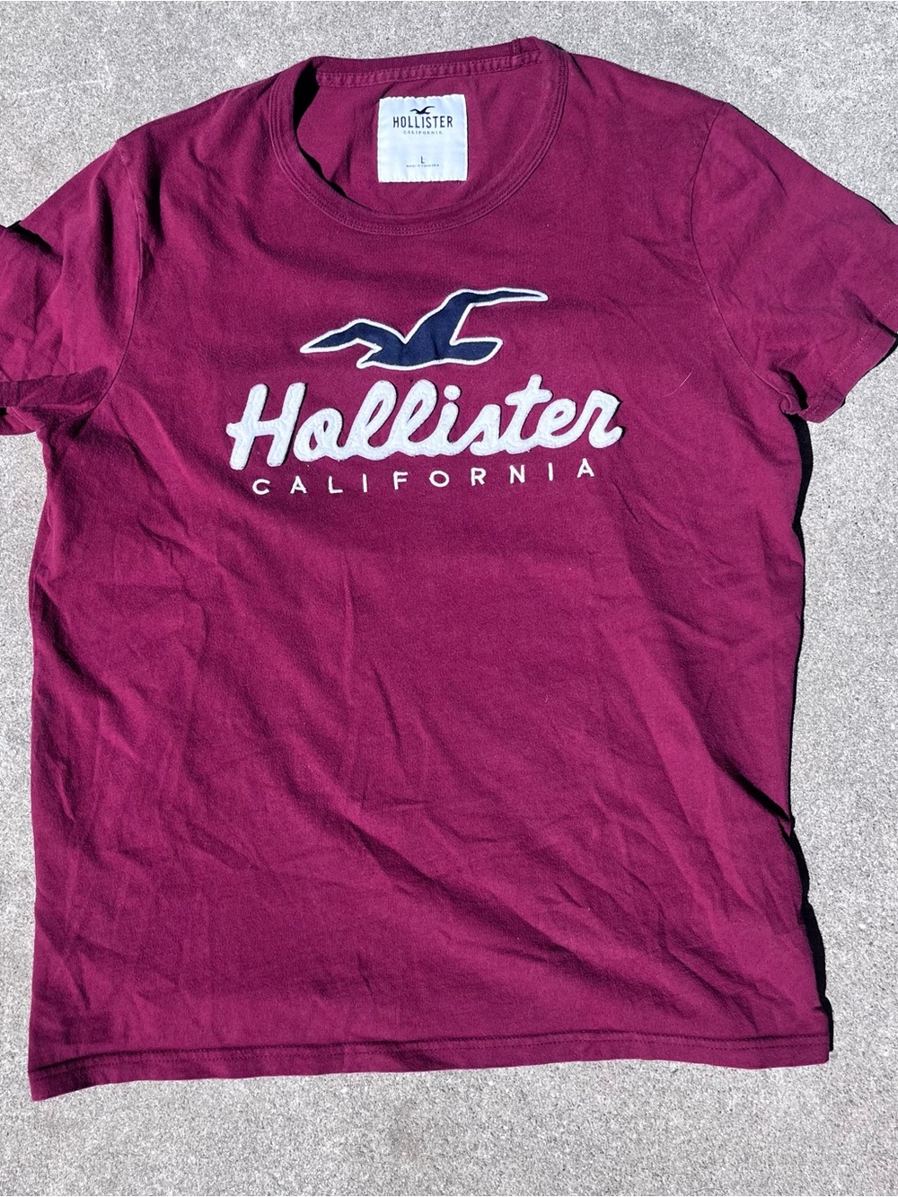 Hollister Men's Logo Tee with White Script